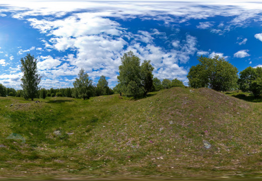 Borgs pasture